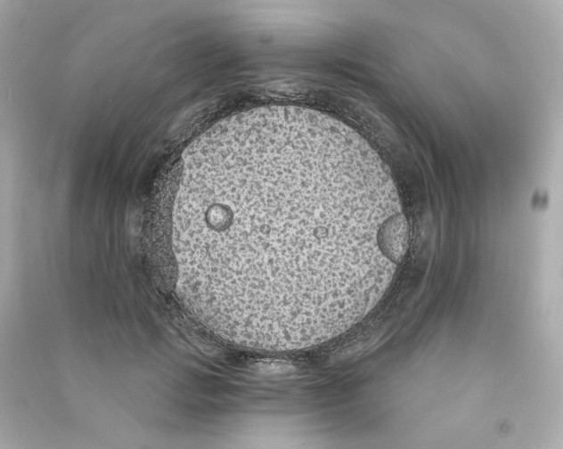 X0000090460749200708102111