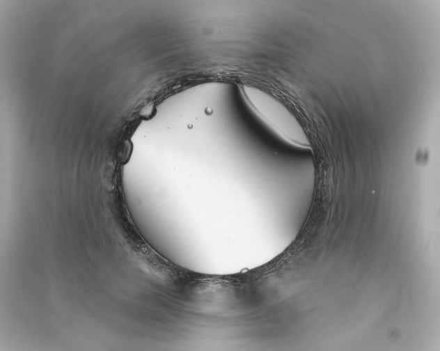 X0000090460750200708102111