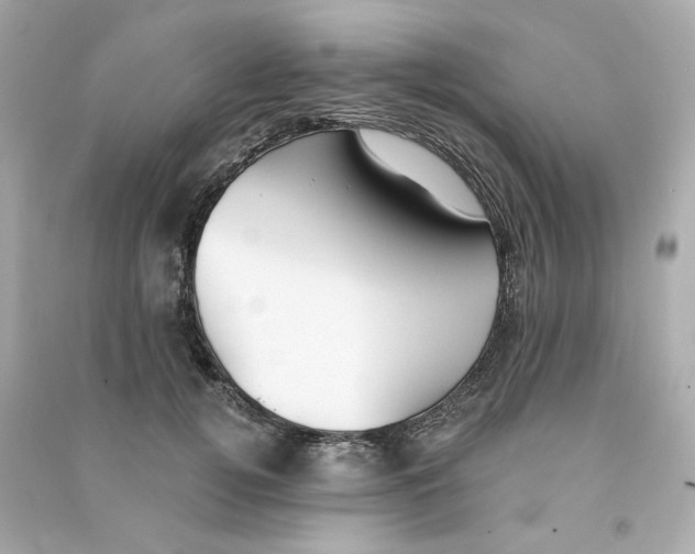 X0000090460752200708102111