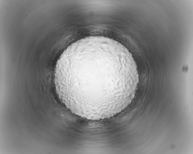 X0000090460753200708102111