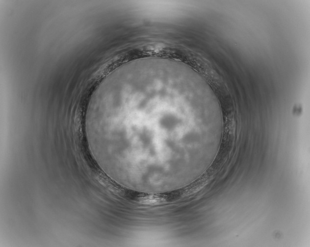 X0000090460754200708102111