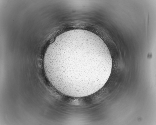 X0000090460755200708102111