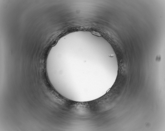X0000090460756200708102111