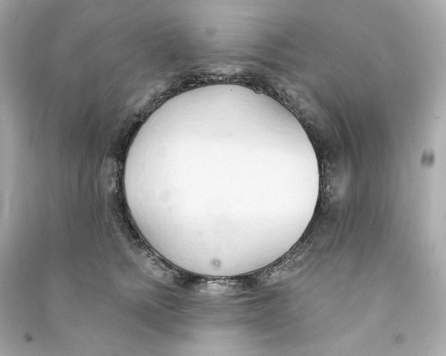 X0000090460758200708102111