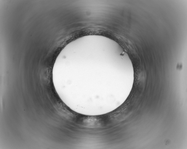 X0000090460759200708102111