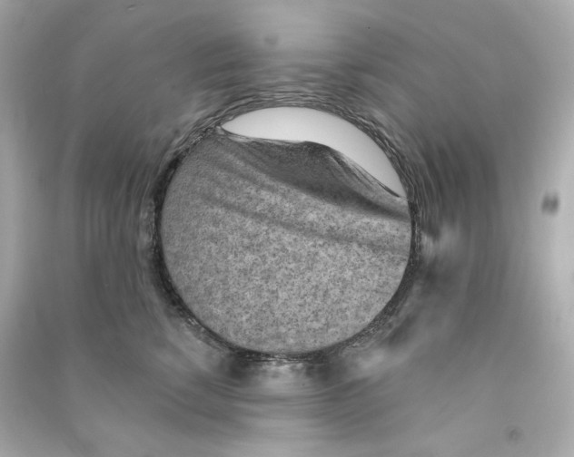 X0000090460760200708102111