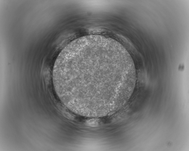 X0000090460761200708102111