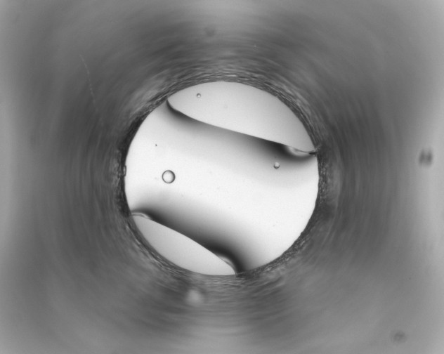 X0000090460762200708102111