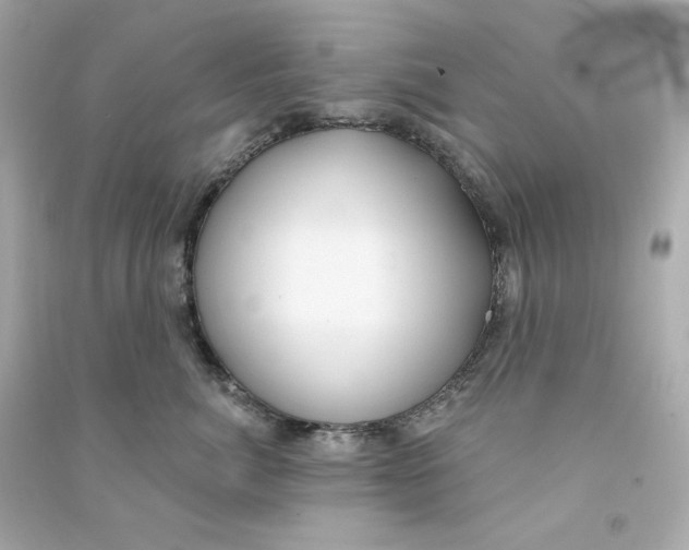 X0000090460764200708102111