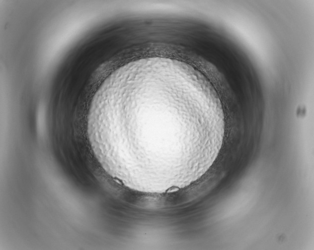 X0000090460765200708102111