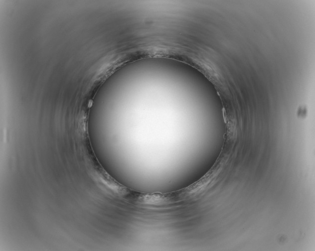 X0000090460766200708102111