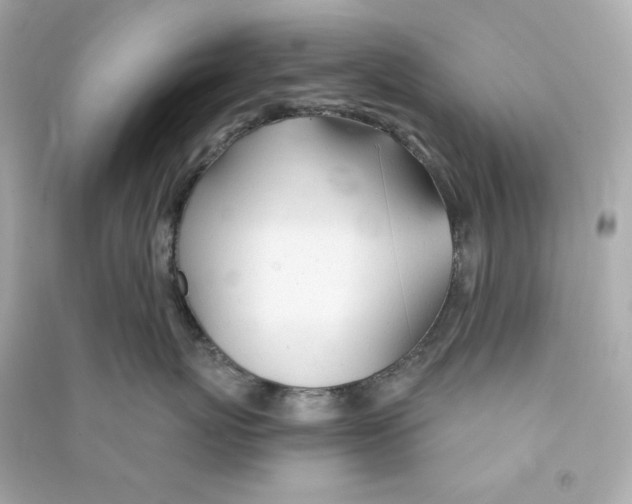 X0000090460767200708102111