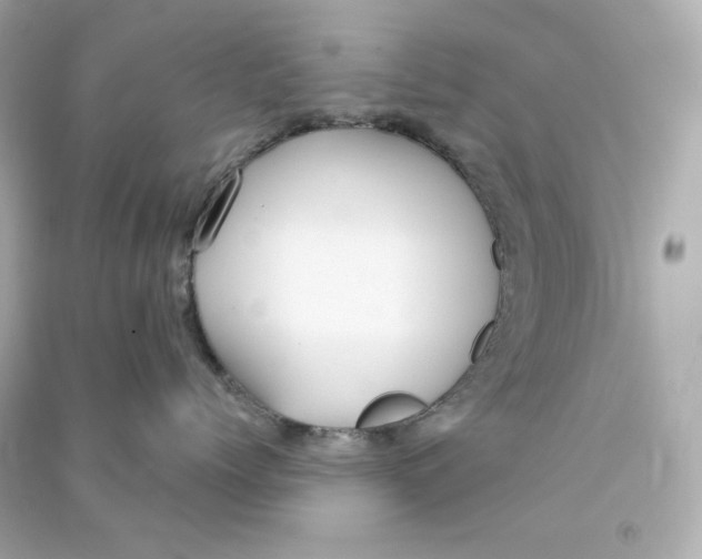 X0000090460768200708102111