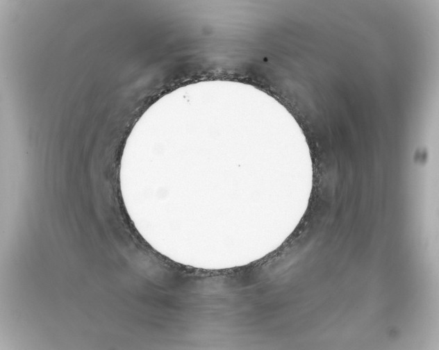 X0000090460769200708102110