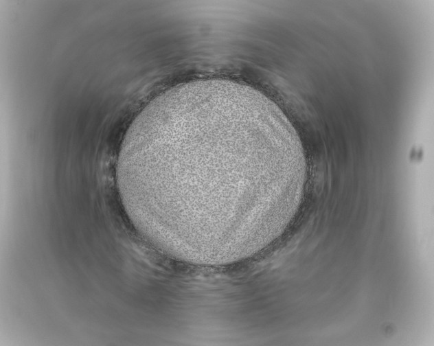 X0000090460770200708102110
