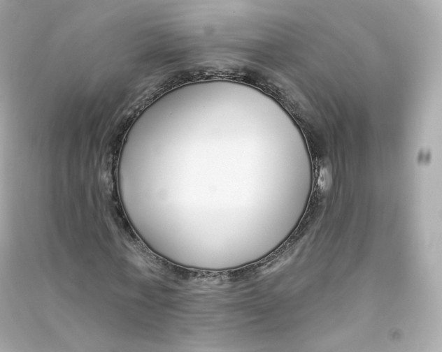 X0000090460771200708102110