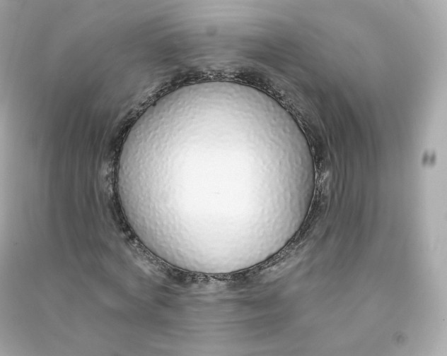 X0000090460772200708102110