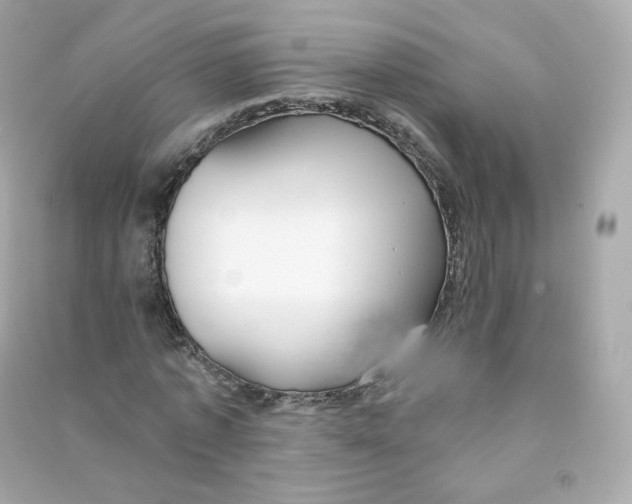 X0000090460773200708102110