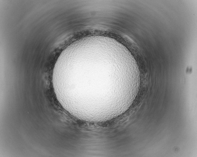 X0000090460774200708102110