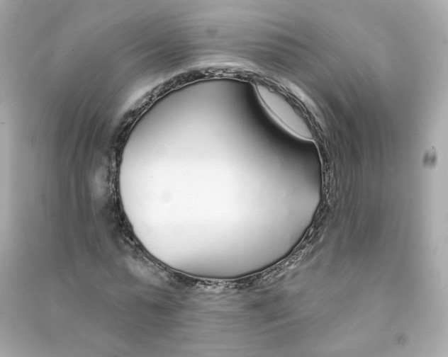X0000090460775200708102110