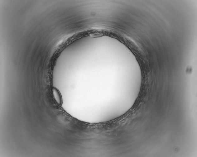 X0000090460776200708102110
