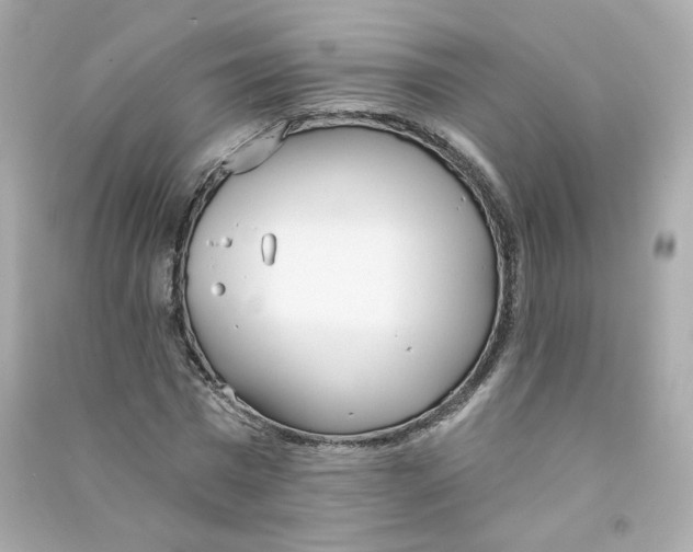 X0000090460777200708102110