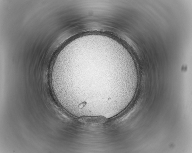 X0000090460778200708102110