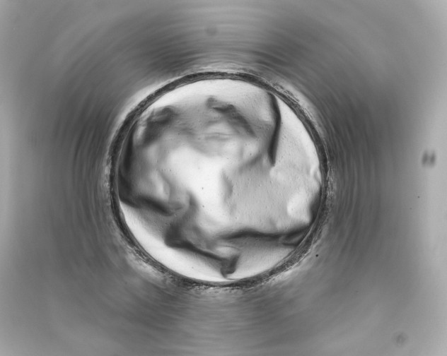 X0000090460779200708102110