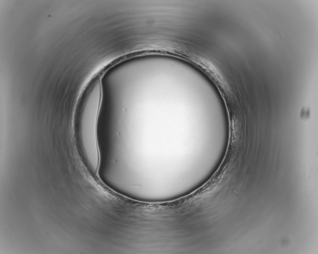 X0000090460780200708102110