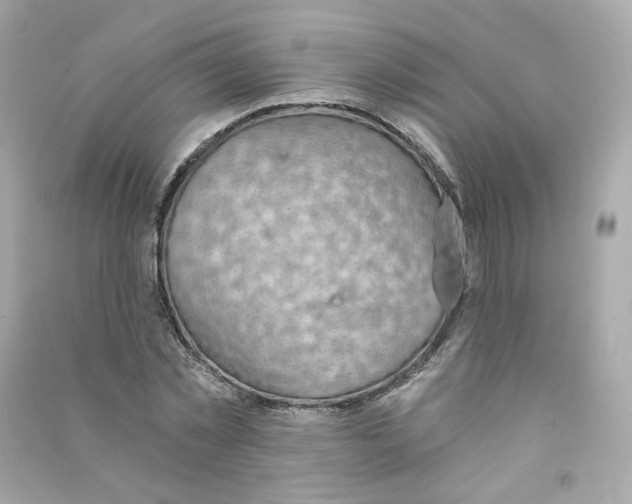 X0000090460781200708102110