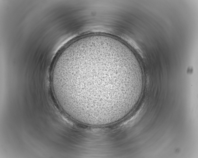 X0000090460782200708102110
