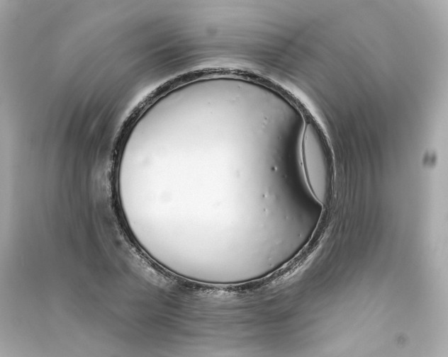 X0000090460783200708102110