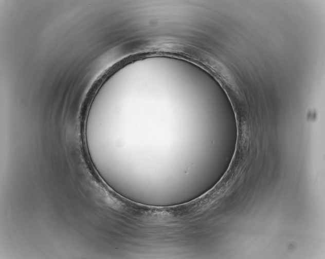 X0000090460784200708102110