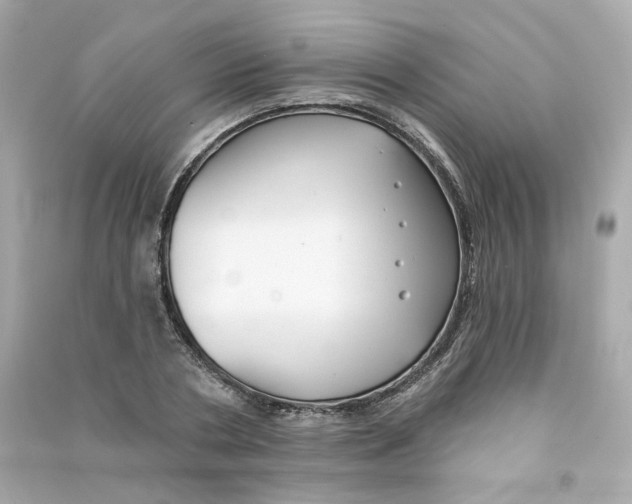 X0000090460786200708102110