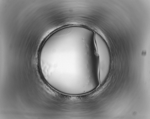 X0000090460787200708102110