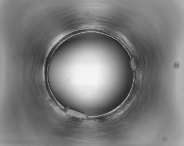 X0000090460788200708102110