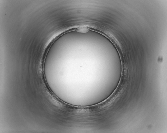 X0000090460789200708102110