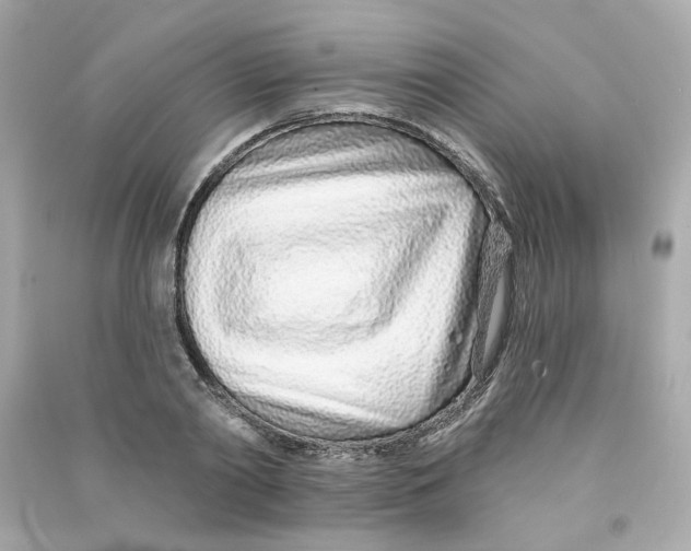 X0000090460790200708102110
