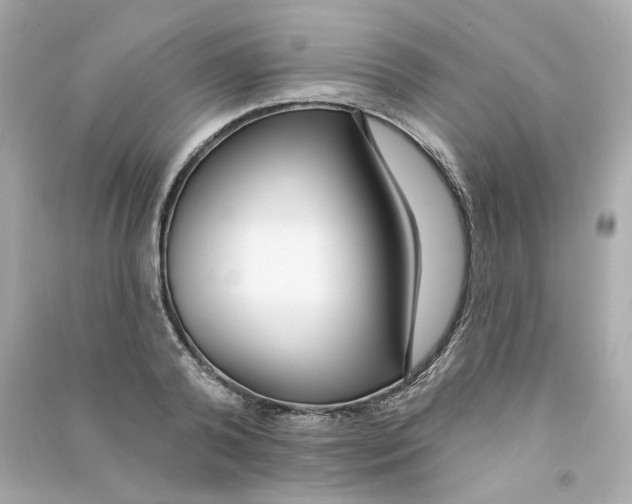 X0000090460792200708102110