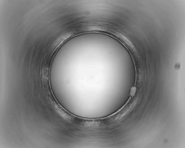 X0000090460793200708102110