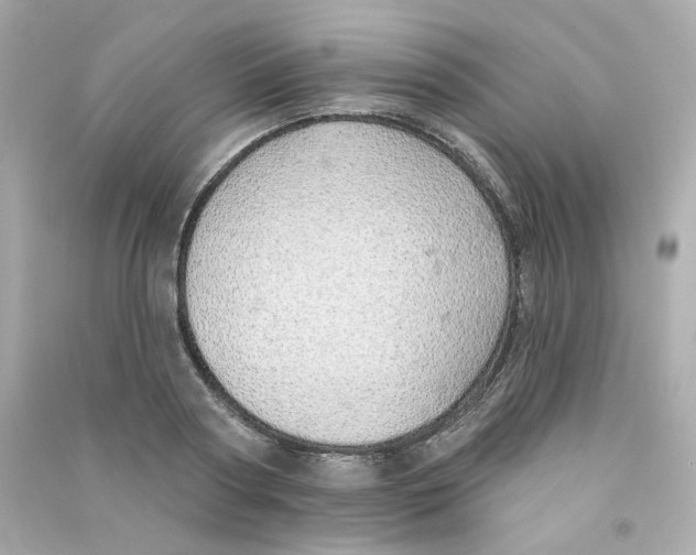 X0000090460794200708102110