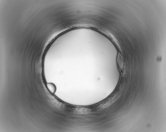 X0000090460795200708102110