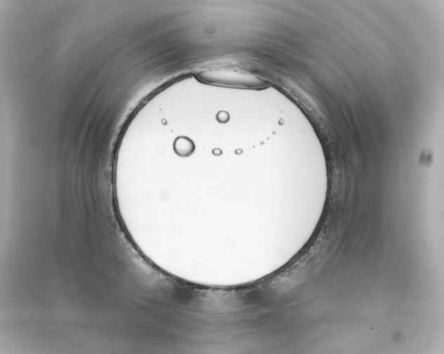 X0000090460800200708102110
