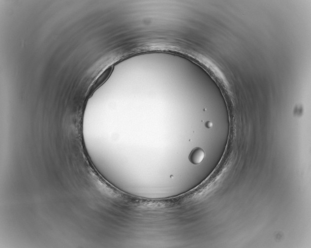 X0000090460801200708102110