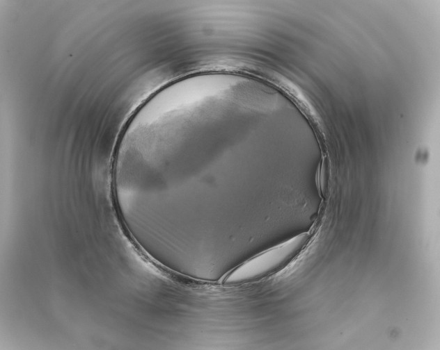 X0000090460802200708102110