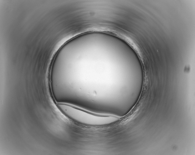 X0000090460803200708102110