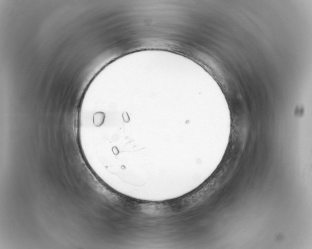 X0000090460804200708102110