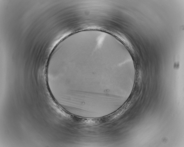 X0000090460806200708102110