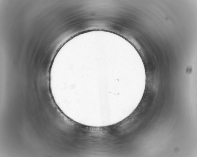 X0000090460807200708102110