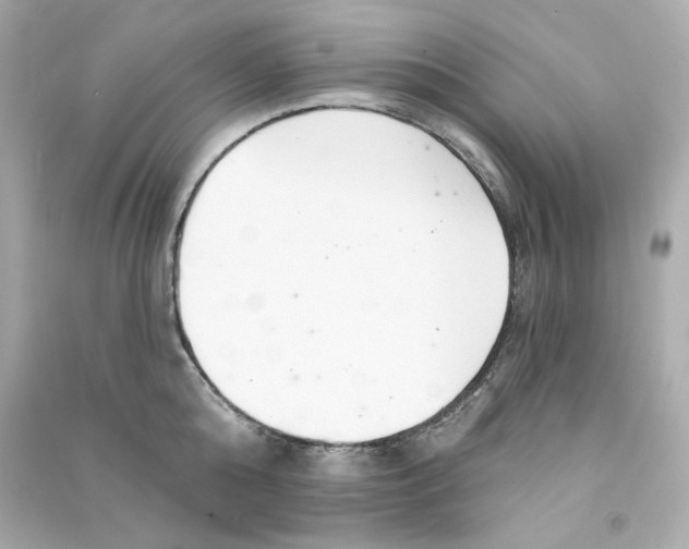 X0000090460808200708102110